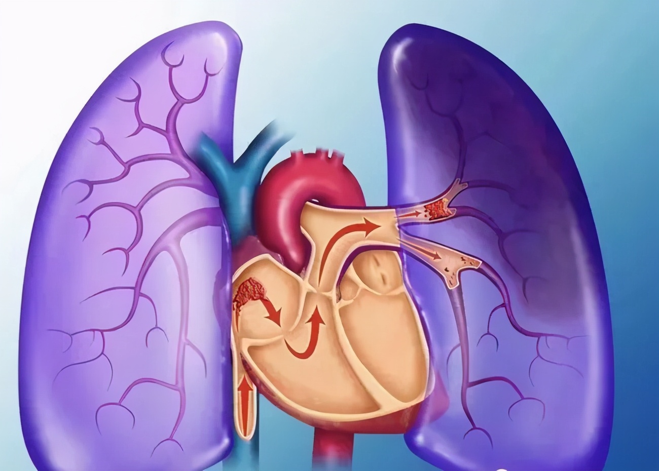 南充医院抢救,南充中心医院重症医学科