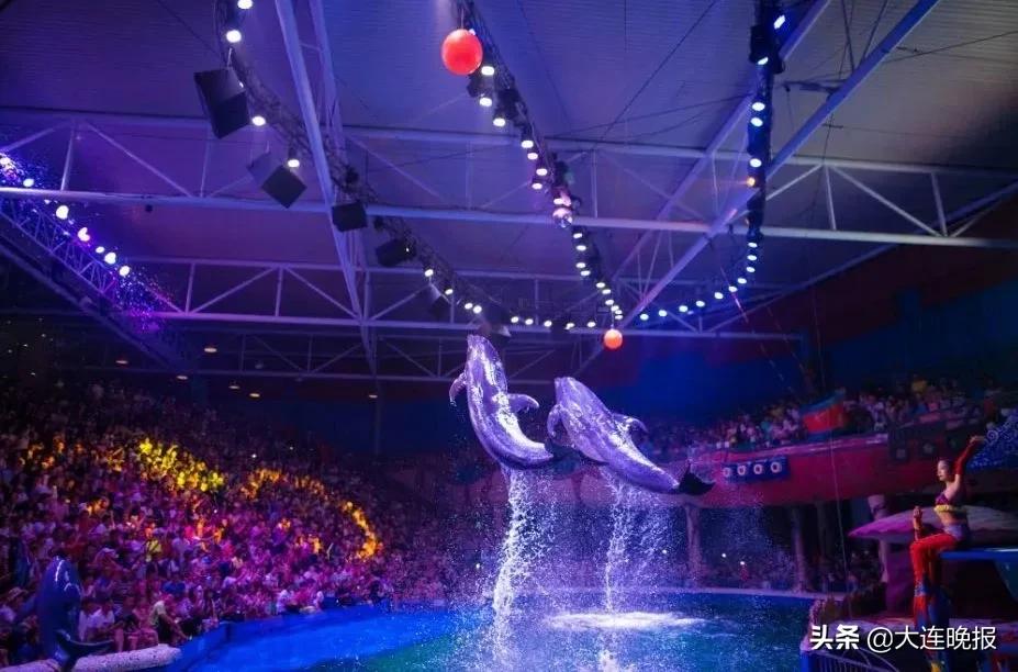 全部免费漫画下载,全部免费短视频app