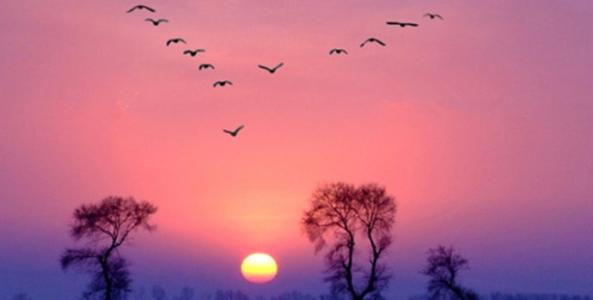 唯美的英语句子翻译,英语唯美句子翻译诗句