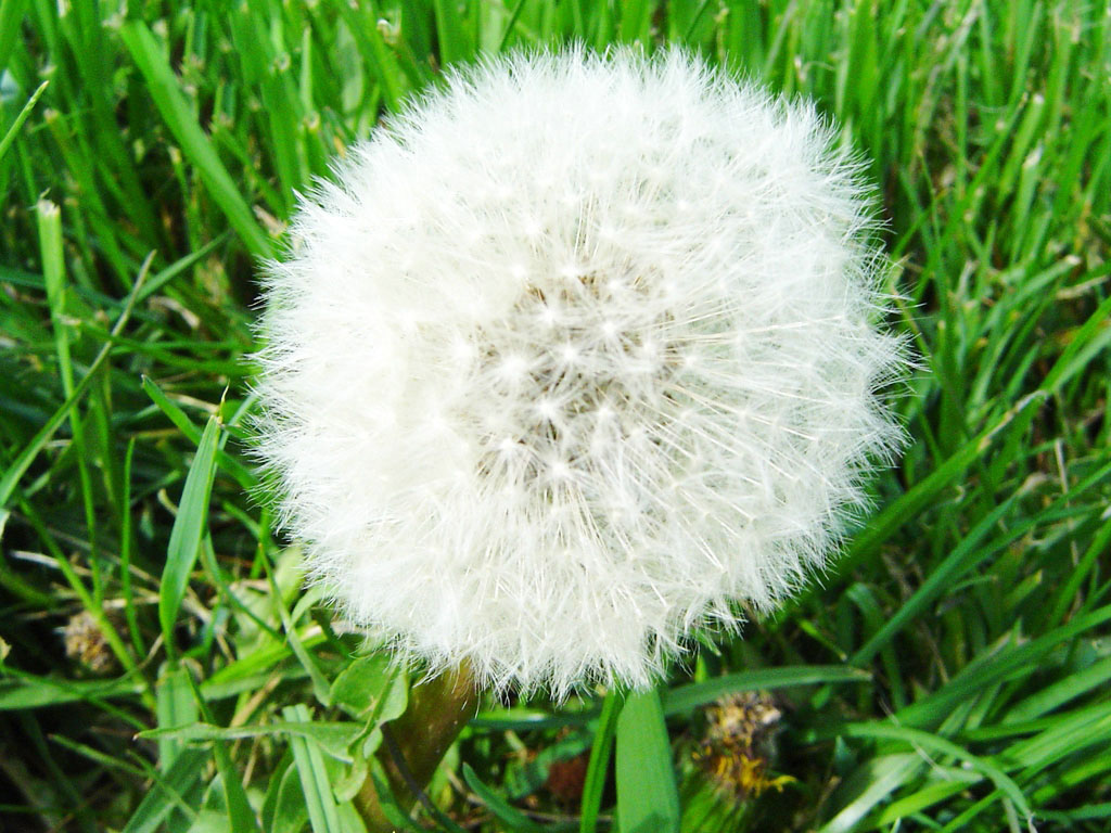 患有妇科疾病者饮食禁忌,妇科炎症少吃哪些食物