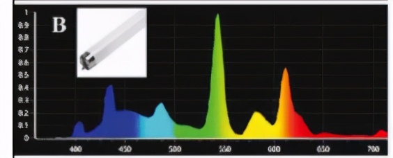 色差仪是什么,色差仪有哪几种光源