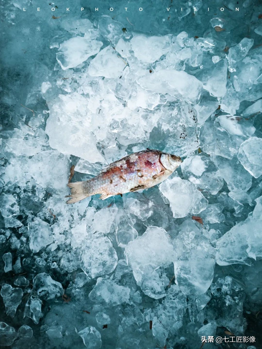 七工匠50mm和35mm哪个合适,趣味体验