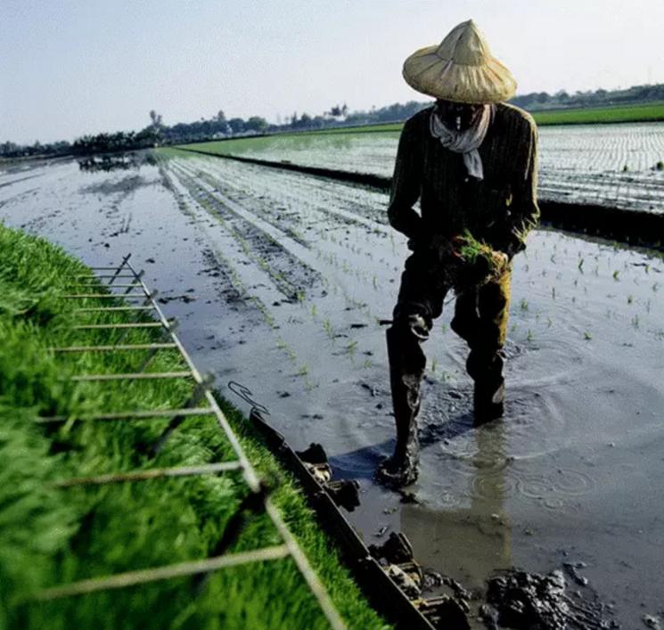 怎么检测土壤有没有肥力,如何判断土壤肥力好不好