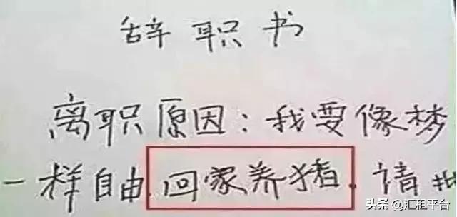 挖机师傅被辞退,挖挖机师傅现状