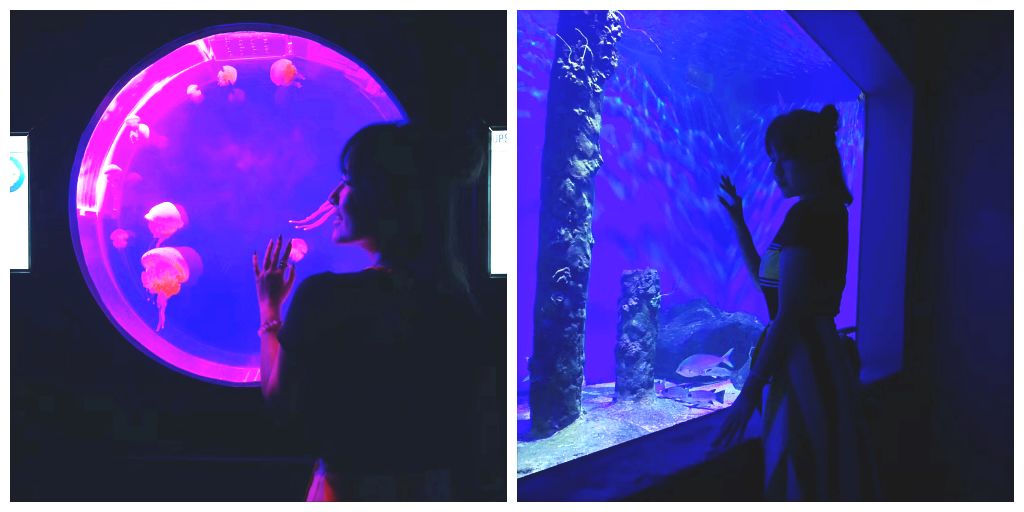 Travel||一周打卡新马泰的五城市，我pick了高性价比的新玩法