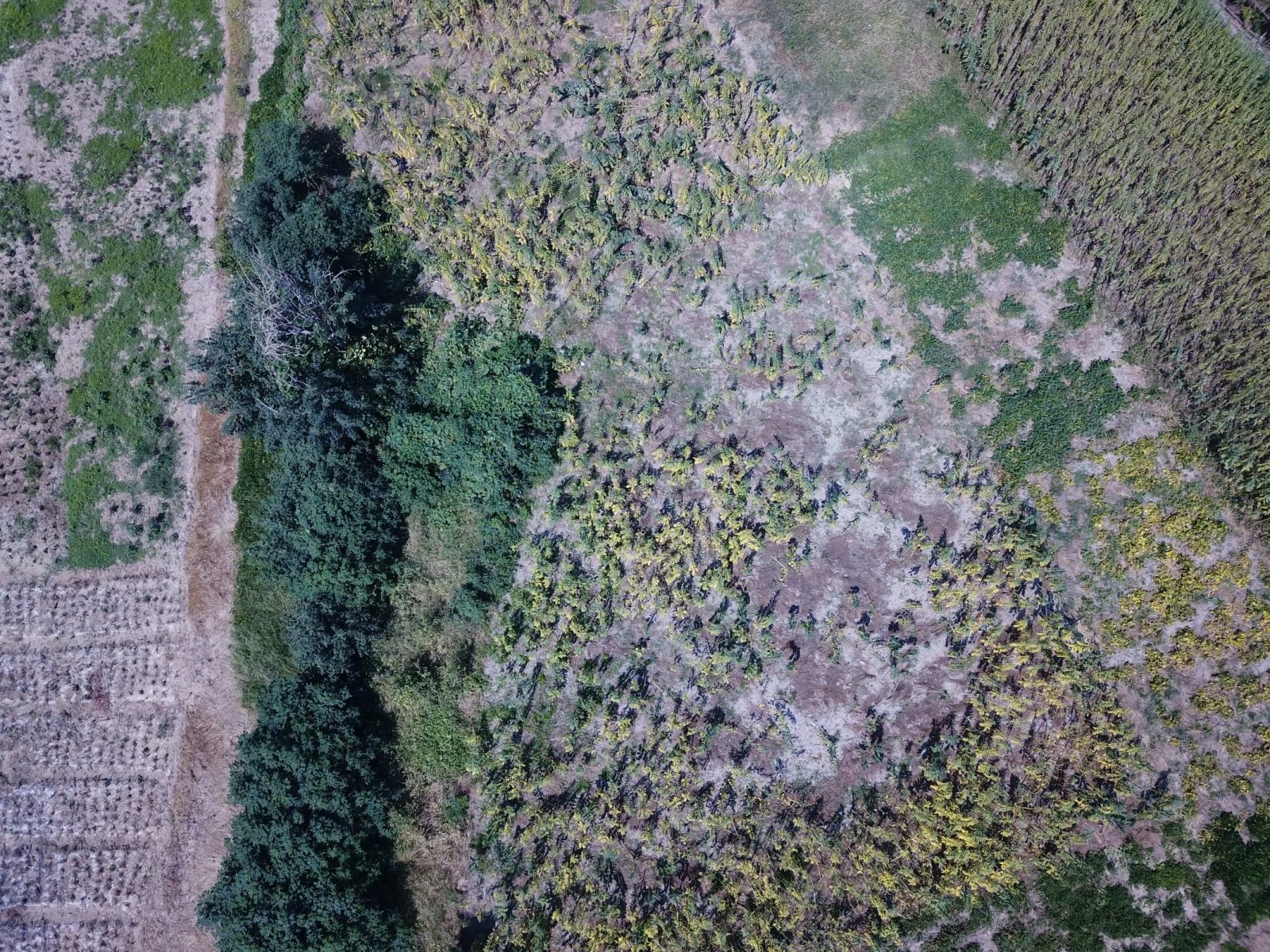 摩托景点打卡,摩托打卡地附近