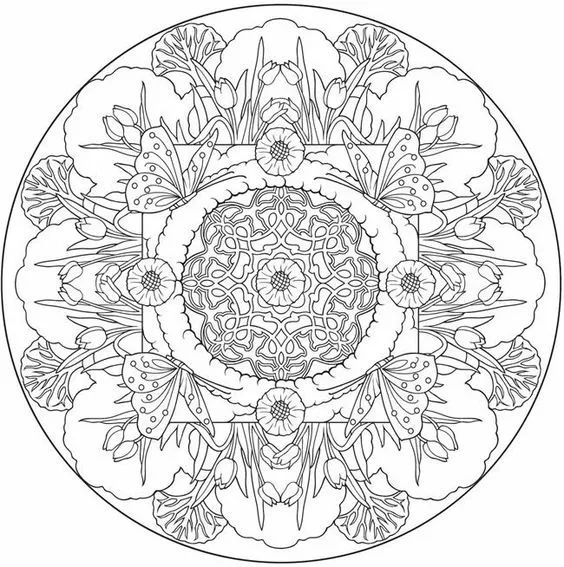 画画入门教程干货博主,基础入门画画必知