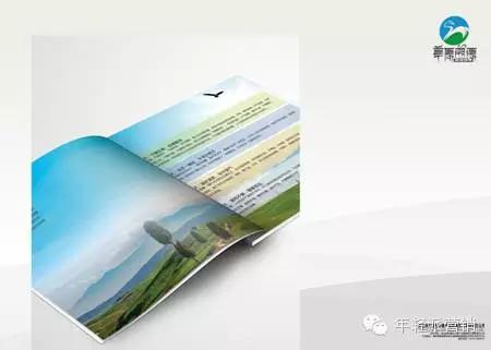 策划案例：好产品卖出高价值？助内蒙古苏尼特羊肉卖出中国最贵羊