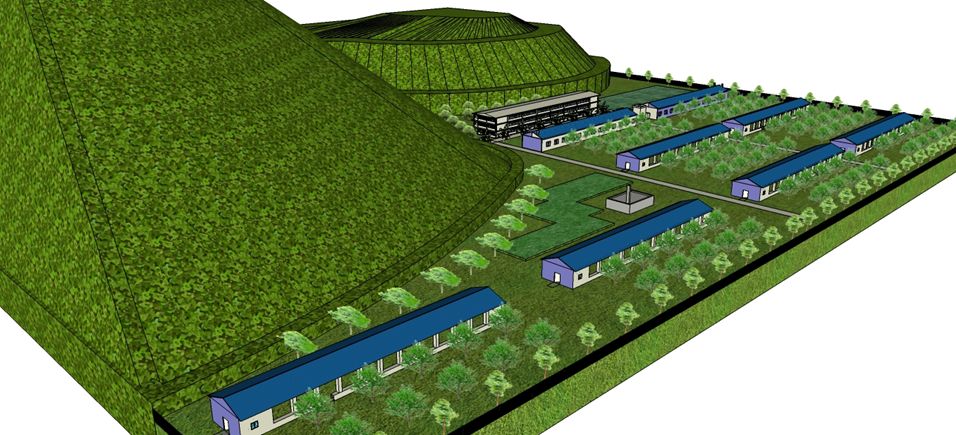农村搞养殖的成功秘诀,未来五年适合农村生态养殖的项目