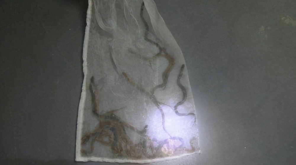 中国最危险的几条蟒蛇 (一条真正的蟒蛇到底有多吓人)