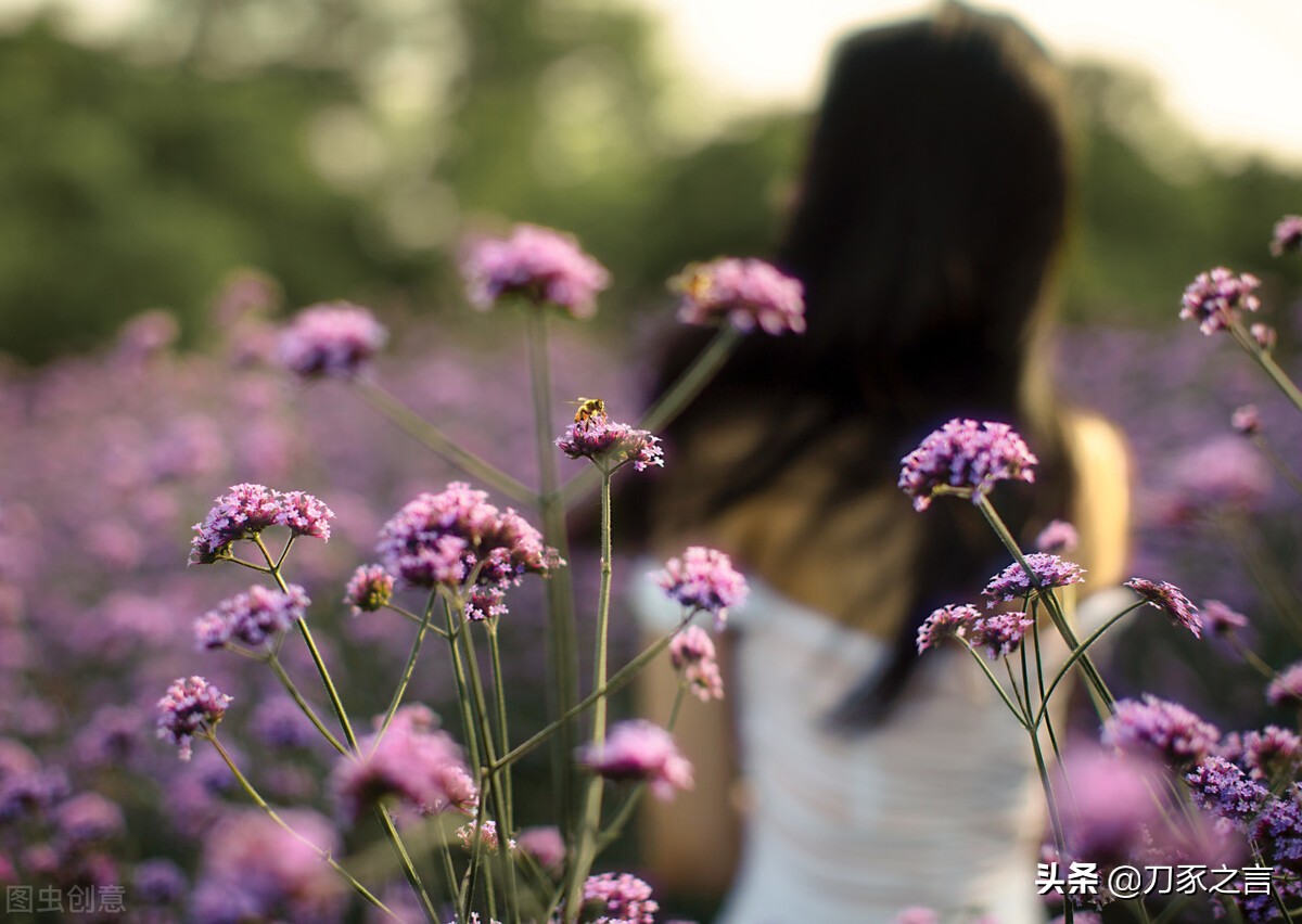 遇到蛮不讲理的人怎样做到不难受,遇到蛮不讲理的人该咋办的说说