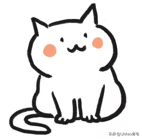 胖橘猫和黑猫,橘猫黑猫白猫哪个最可爱