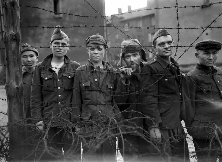 纳粹与苏联士兵,纳粹对战苏联