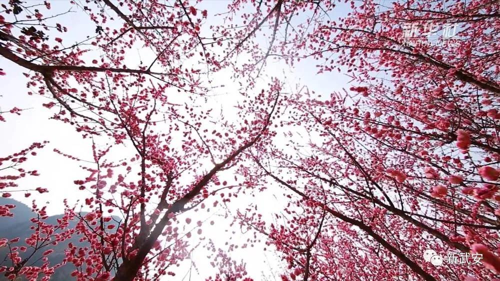 <html>
<head><title>502BadGateway</title></head>
<body>
<center><h1>502BadGateway</h1></center>
<hr><center>nginx</center>
</body>
</html>
<!--apaddingtodisableMSIEandChromefriendlyerrorpage-->
<!--apaddingtodisableMSIEandChromefriendlyerrorpage-->
<!--apaddingtodisableMSIEandChromefriendlyerrorpage-->
<!--apaddingtodisableMSIEandChromefriendlyerrorpage-->
<!--apaddingtodisableMSIEandChromefriendlyerrorpage-->
<!--apaddingtodisableMSIEandChromefriendlyerrorpage-->
