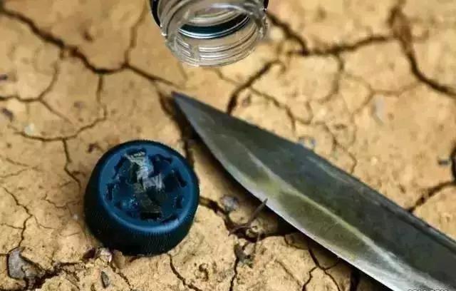 野外生存小技巧怎么过滤水,野外生存取水的正确方法