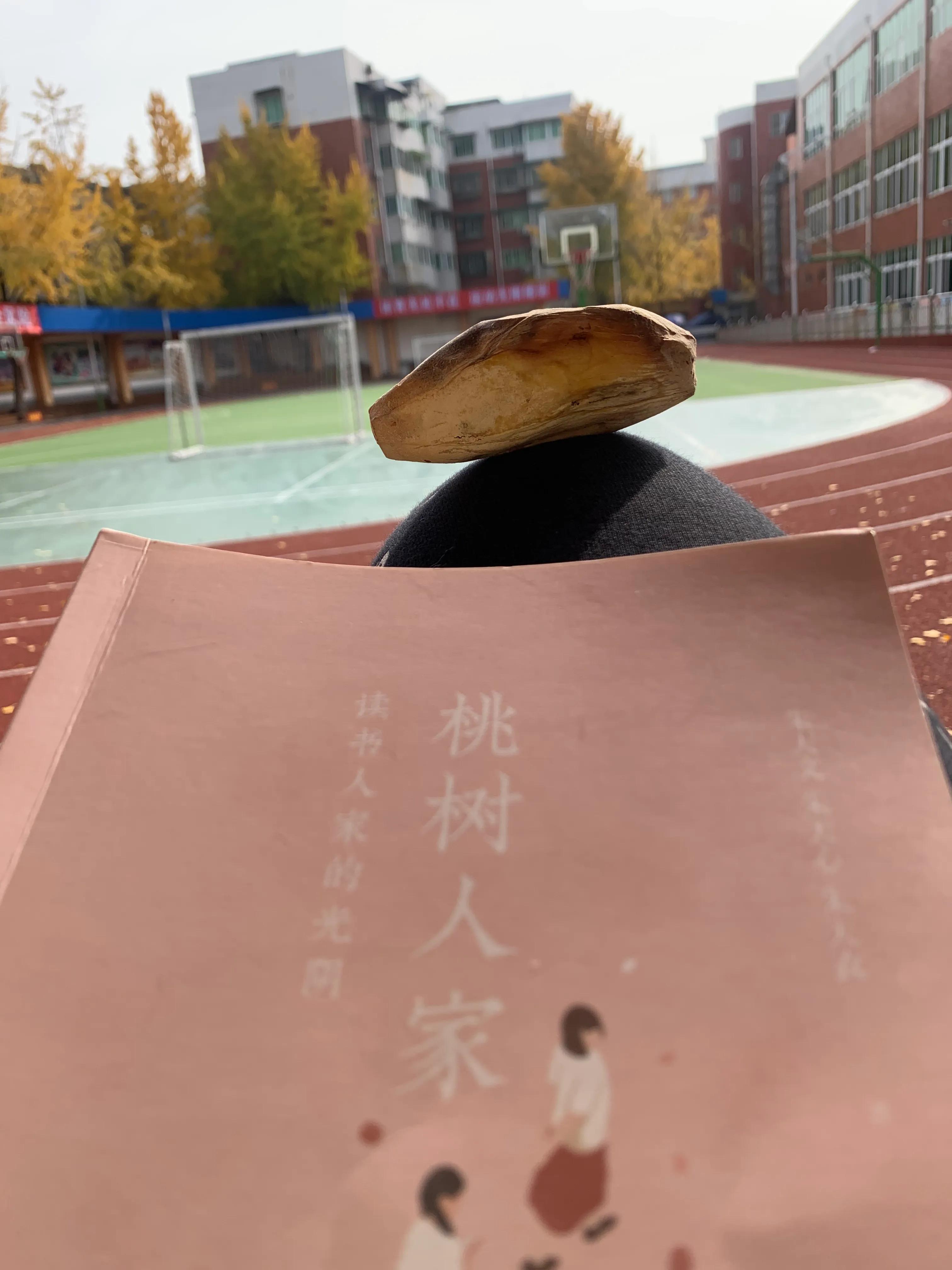 温暖的冬日美文,温暖的冬日散文