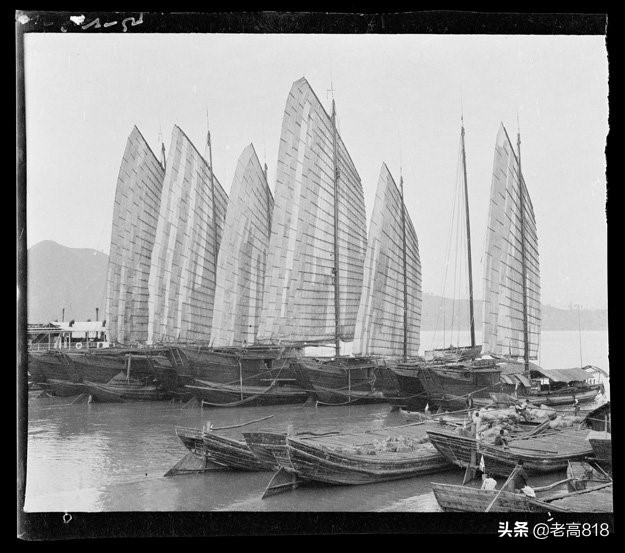 今日北塘海鲜,北塘海鲜扬帆起航