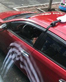 搞笑动图gif素材,搞笑动图gif图片2000期