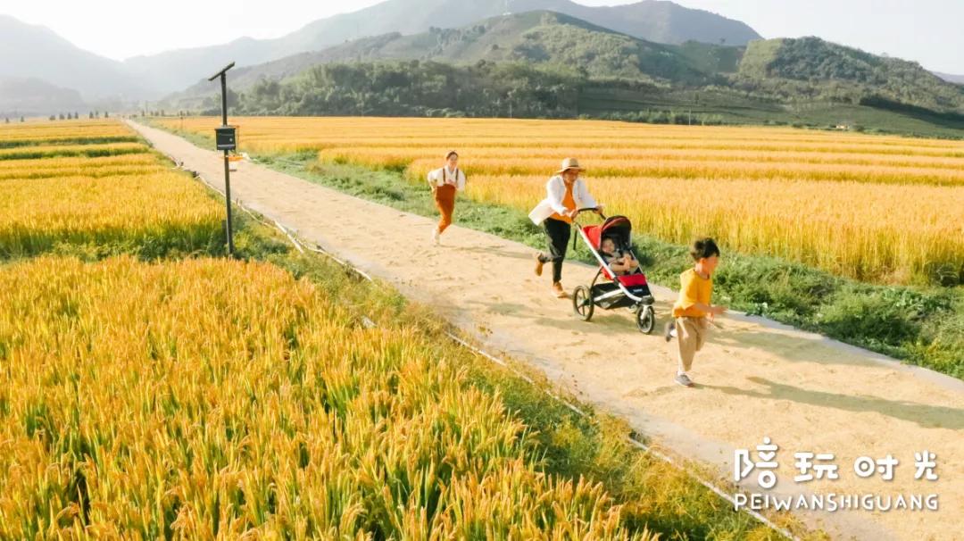 糕妈：二胎后入手的好物，这些一点都不后悔