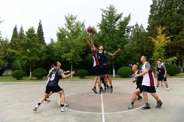 海鲨特战很厉害吗,海鲨特战旅比雪枫牛吗