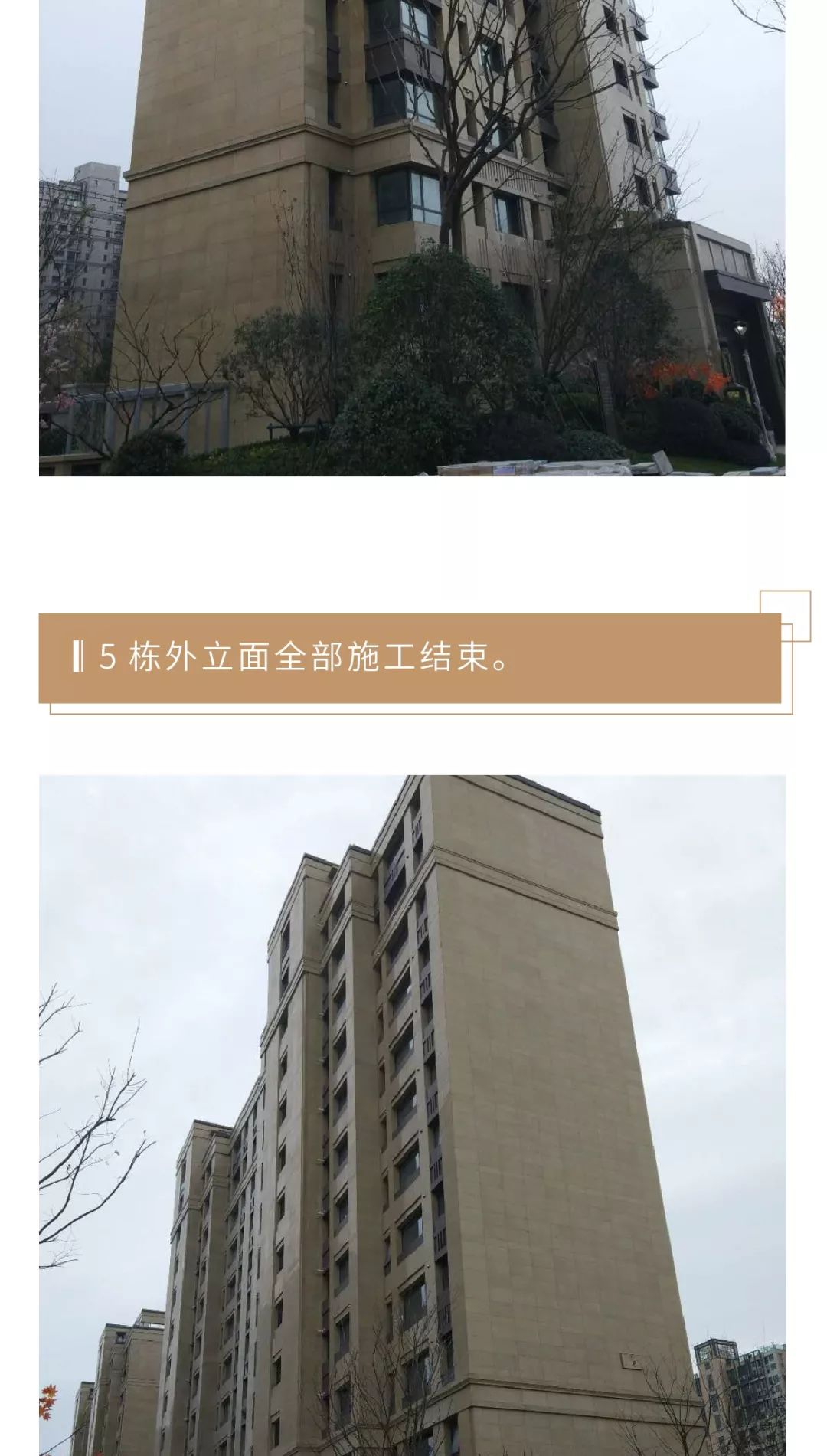 河西中房价历年走势,河西中次新豪宅