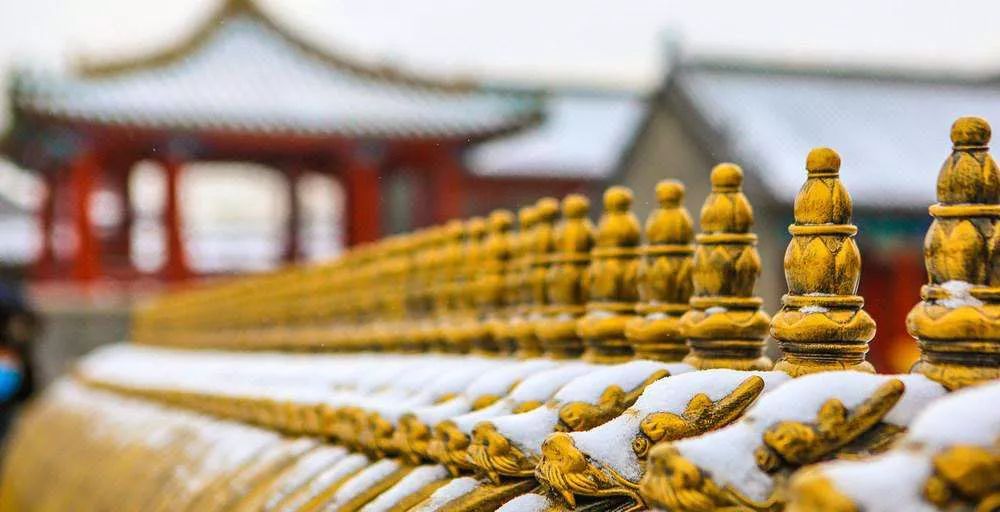 沈阳的夜景真的好美,沈阳夜景有多美