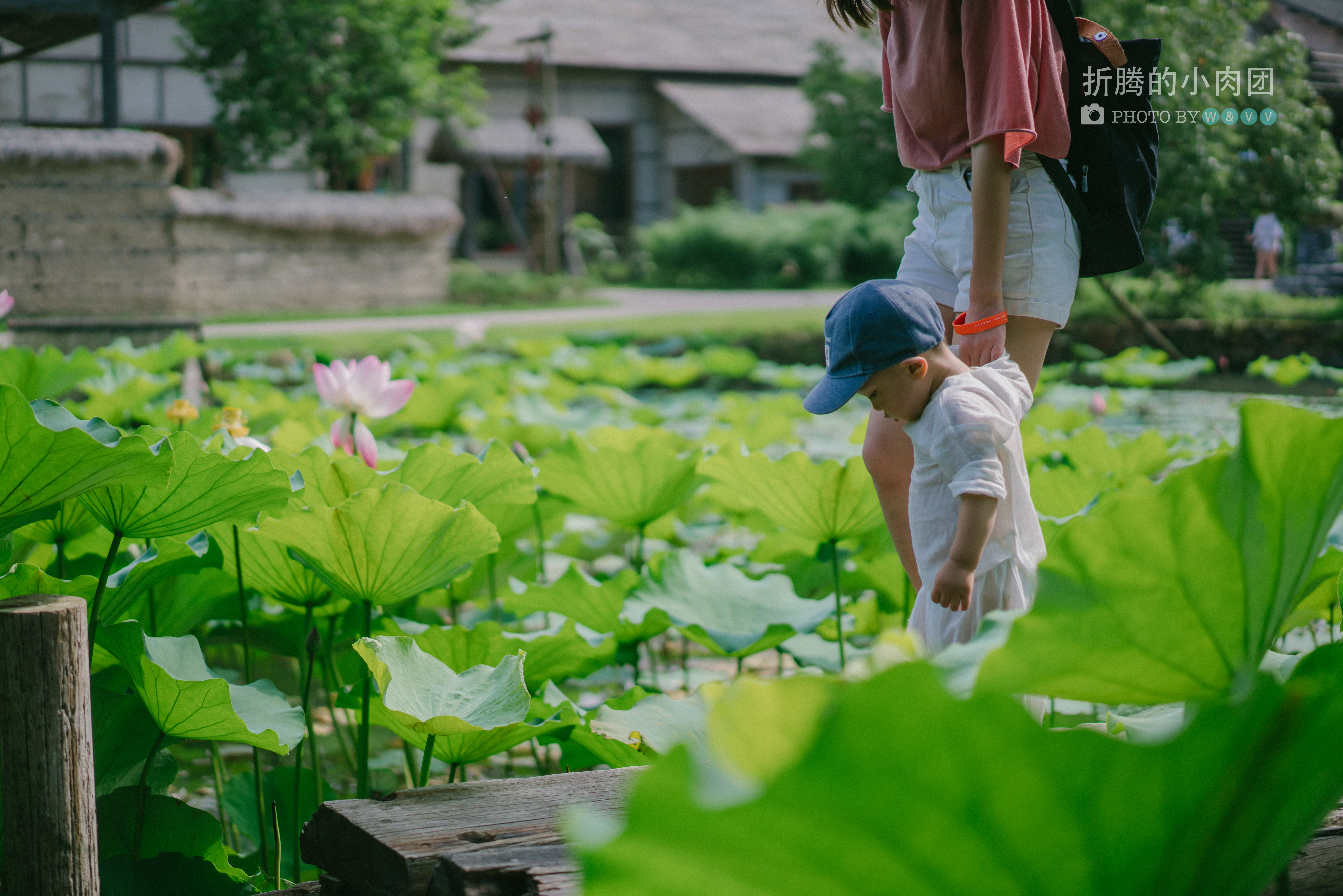 乌村亲子游全攻略,乌村亲子游攻略