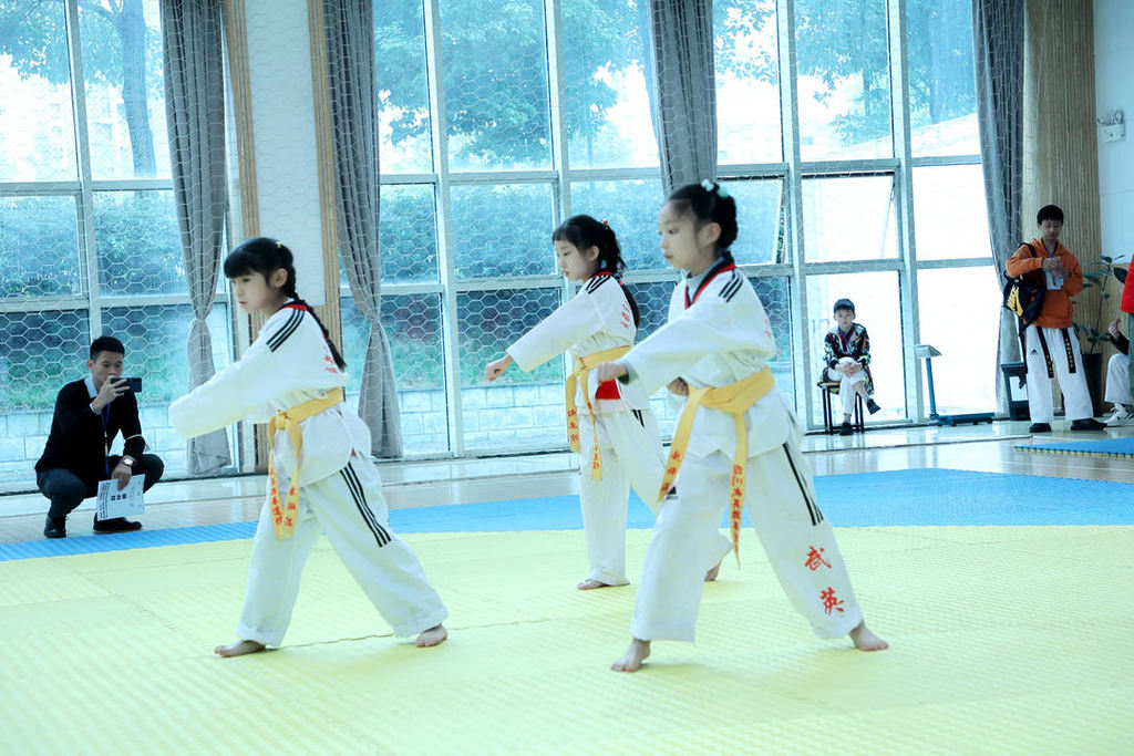 四川省中小学跆拳道锦标赛,成都高新区跆拳道锦标赛