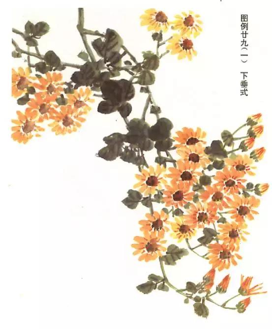 胡玉德菊花国画技法步骤,菊花叶子国画教程