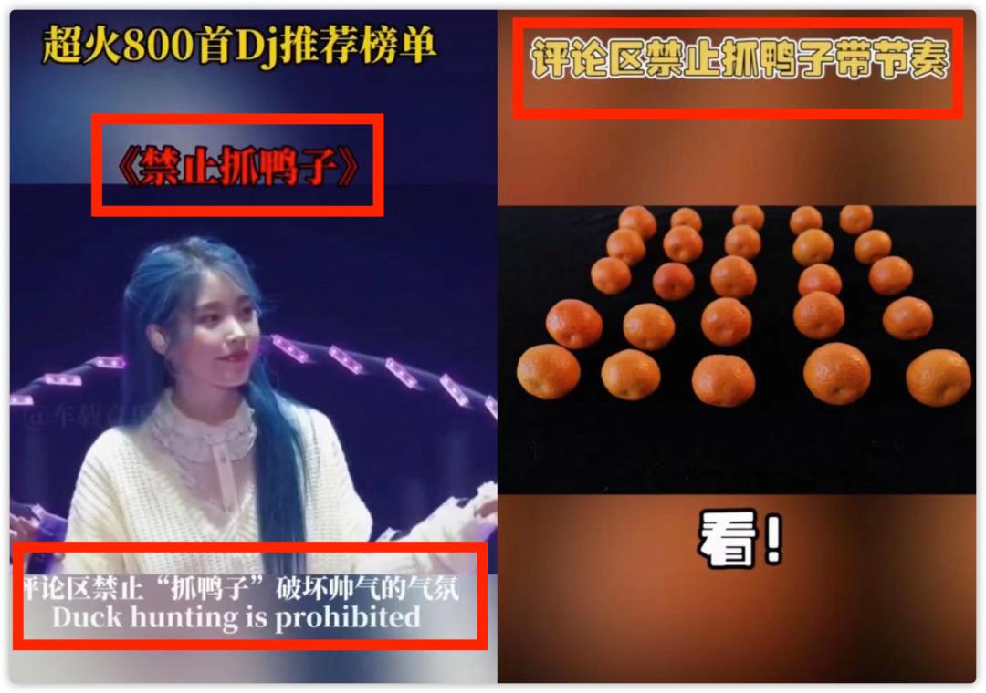 话题榜热搜抓鸭子,话题播放量超28亿