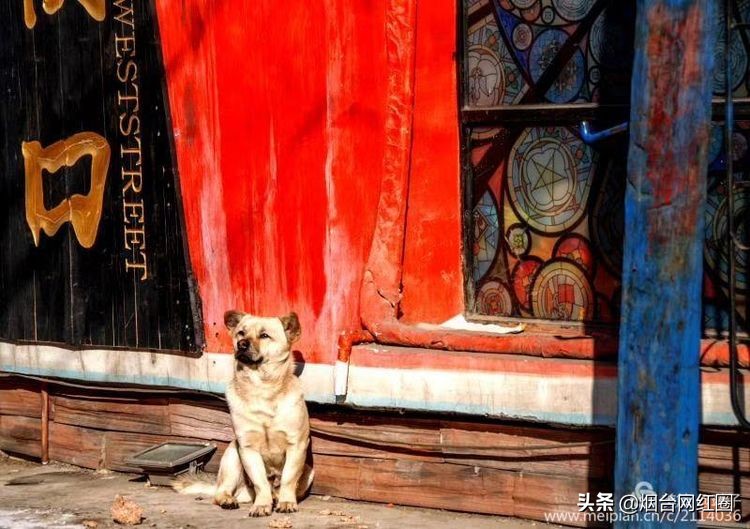 烟台所城里承载着多少回忆,烟台所城的来历