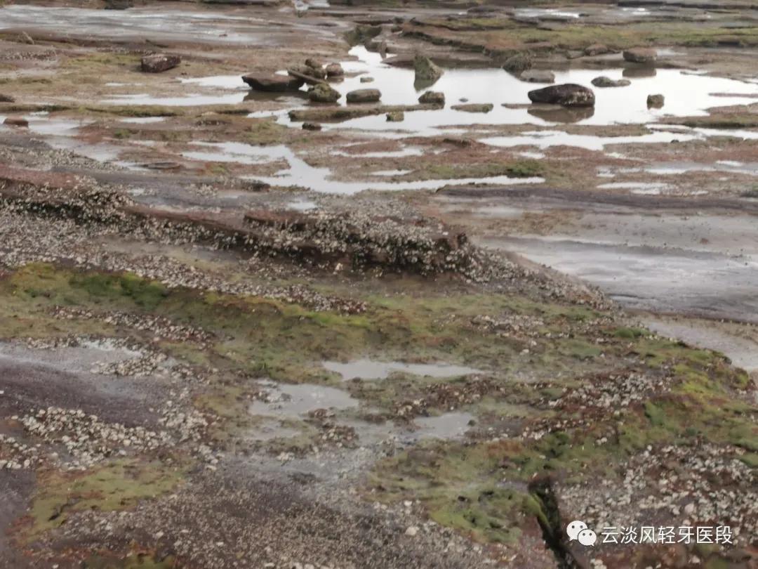 五一的北海涠洲岛,北海涠洲岛三天两夜旅游攻略