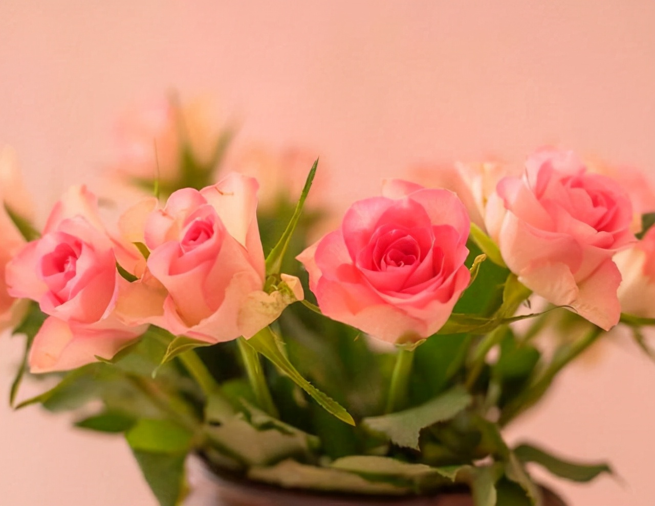 遭遇背叛后你最应该做的事,假如遇到背叛你要怎样处理