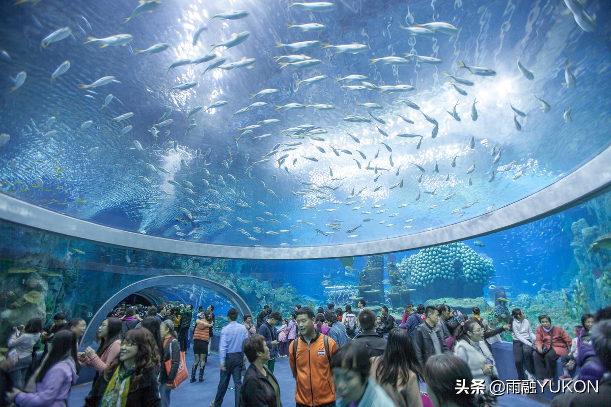 全球第一海洋公园：号称中国民族品牌第一乐园，约400元门票