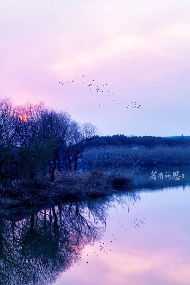 游走在沙家浜湿地公园,沙家浜风景区湿地渔乐园