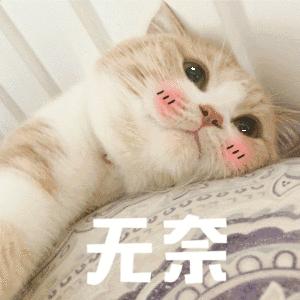 软黄金羊绒是什么,羊绒属于什么材料