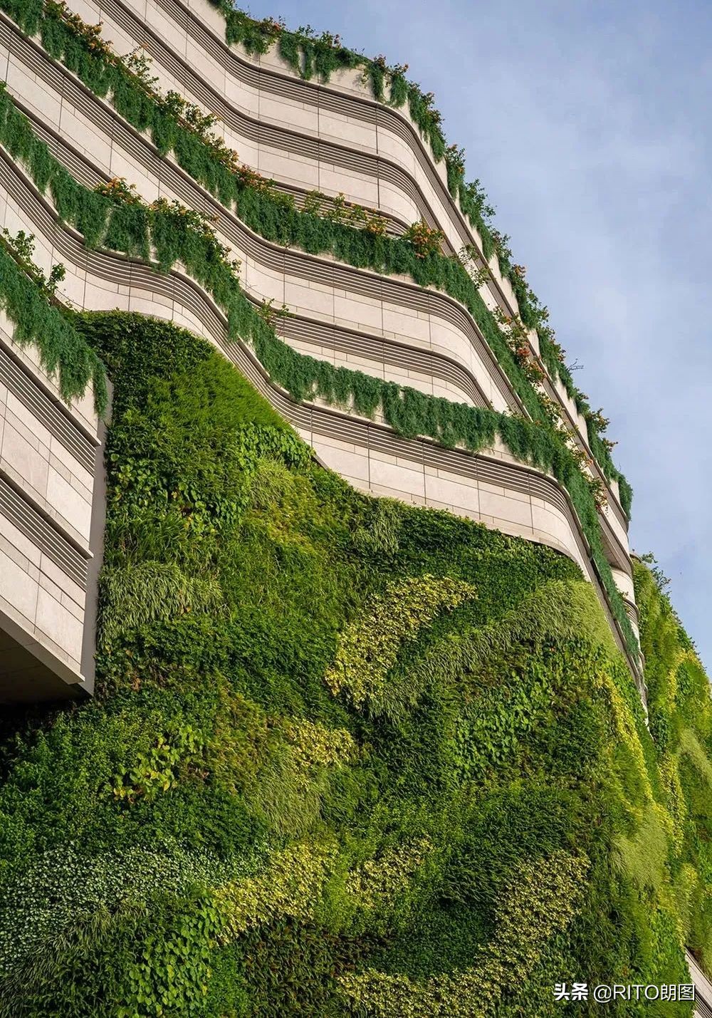 现象级新项目一览,现象级创业是什么