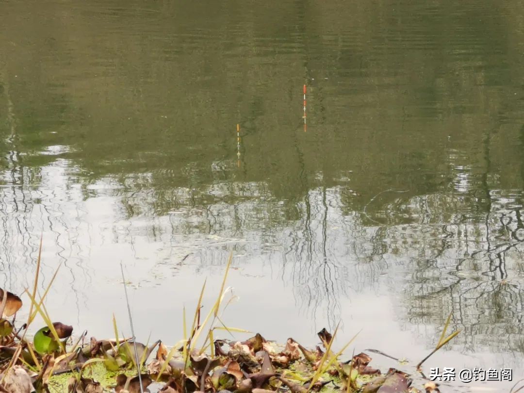 浮漂用几次就掉色,浮漂久了褪色