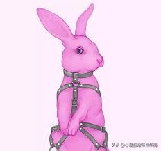 性施虐症——性偏好障碍