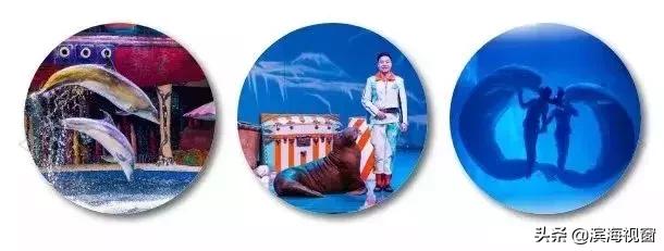 从天津高铁1小时可以达到的景点,天津高铁周边2-3天短途旅游