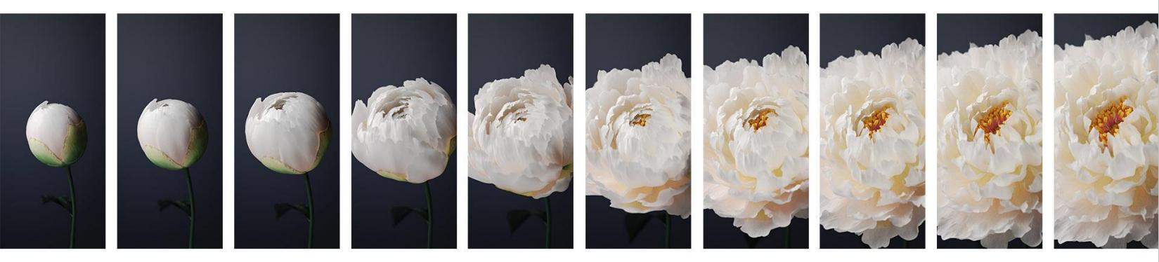 originos有点像苹果系统,originos好看的布局