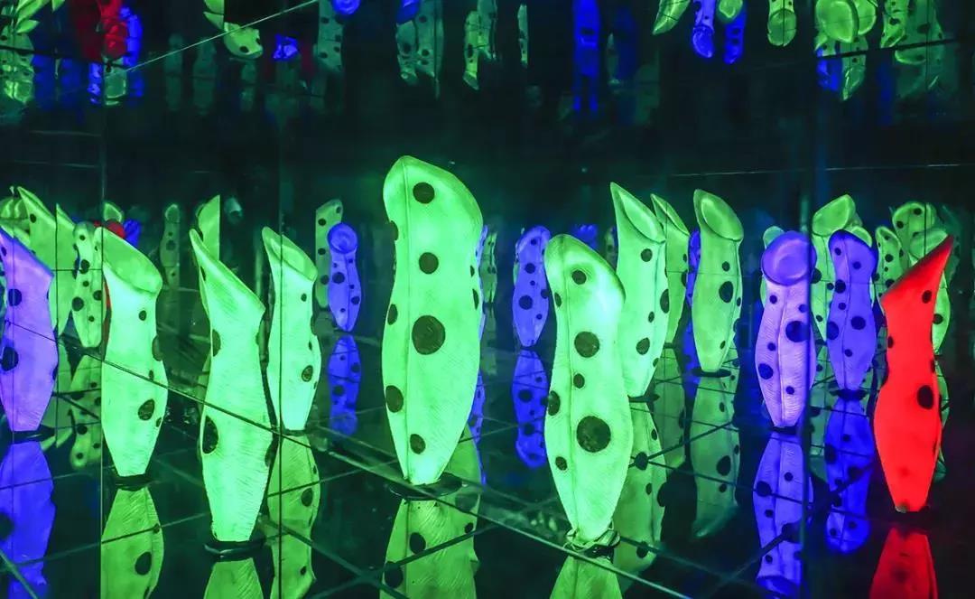 2019热词盘点｜这波福利，让天涯君酸成了柠檬精