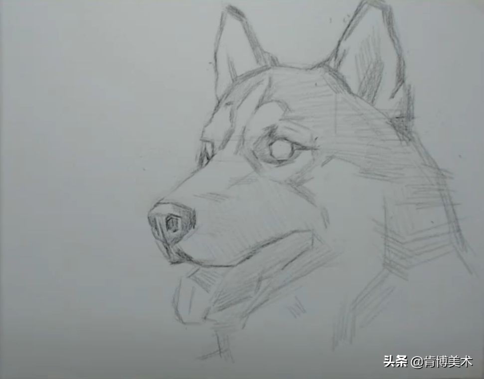 大触学画画,大触画师的简单素描