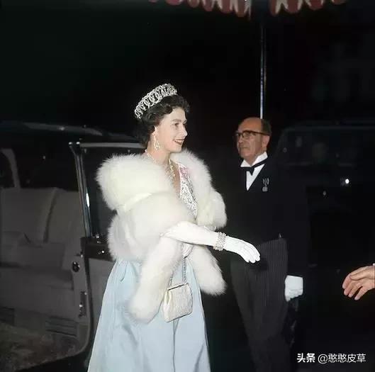 獭兔皮草怎么分辨是真是假,兔毛皮草怎么鉴别真假