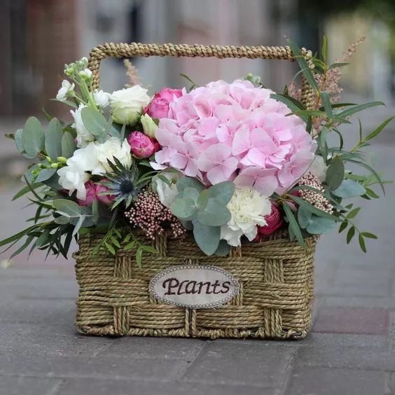 插花的100种方式,插花的技巧和方法图解