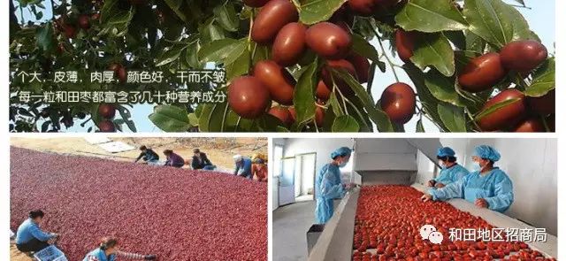 和田红枣多少钱一斤,和田红枣的批发价格