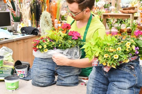 牛仔裤改造花盆,旧牛仔裤的改造花盆