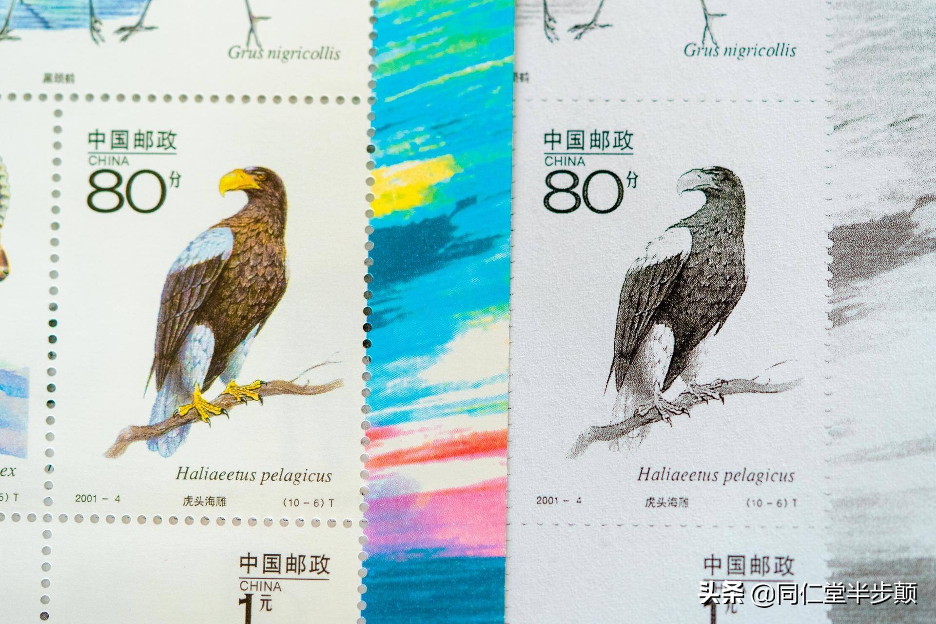 家用打印机推荐惠普2679,惠普激光打印机推荐1007和1020