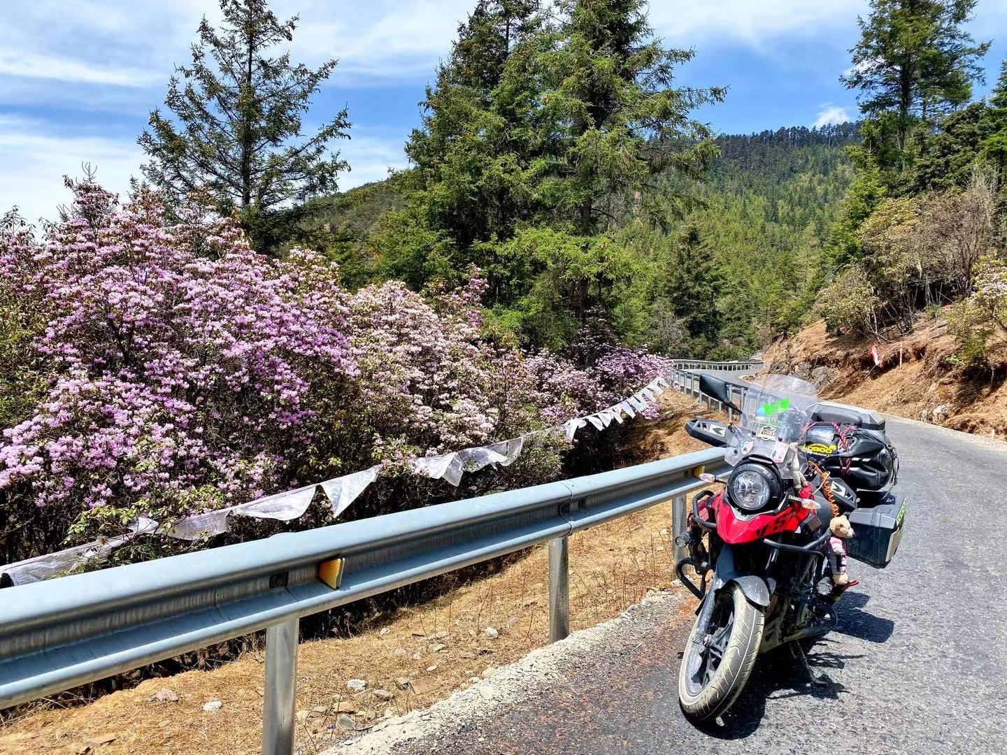 2020摩旅西藏纪录片,木里藏族自治县摩旅