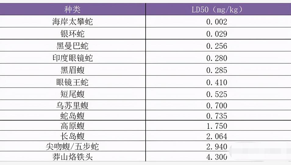 1996年莽山烙铁头蛇,莽山烙铁头被盗事件